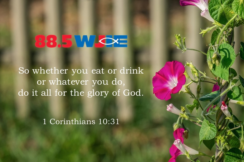 Today's #WJIEWord4Day comes from 1 Corinthians 10:31.
So whether you eat or drink or whatever you do, do it all for the glory of God.