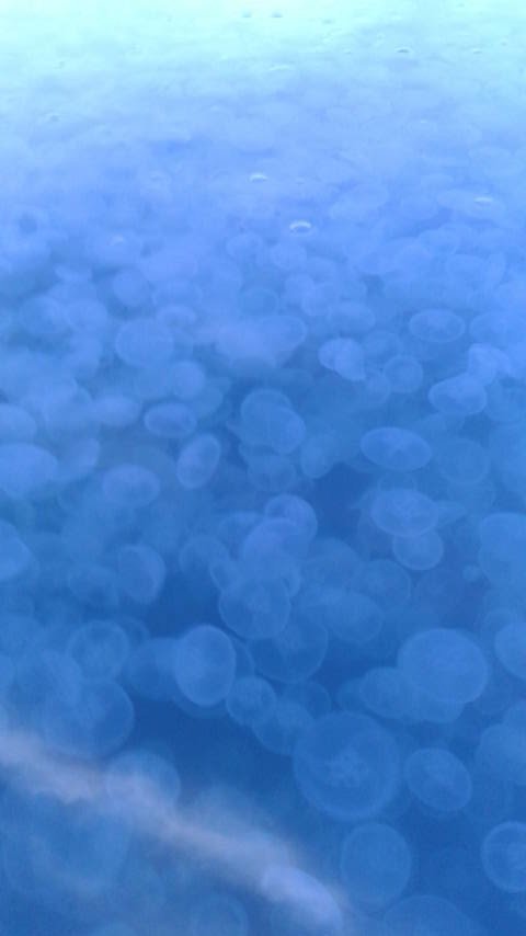 横海老屋 S74mwsaasgjynnq Twitter