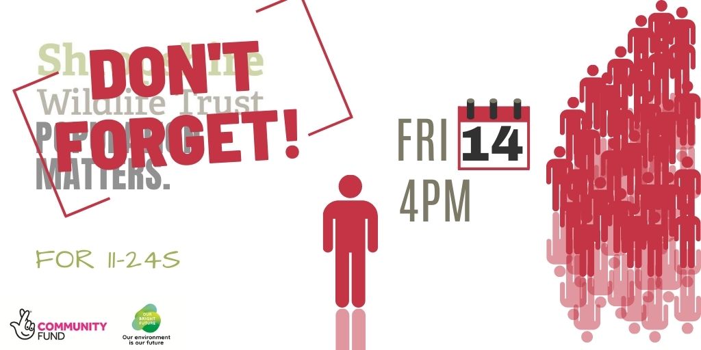 GrowingConf's tweet image. Alistair Curry from- Population Matters will present current data on the effects of an increasing population. Then OVER TO YOU to ask any questions that you may have...
Click to register your place:
shropshire.wildlifetrustsevents.org/young-people-s…