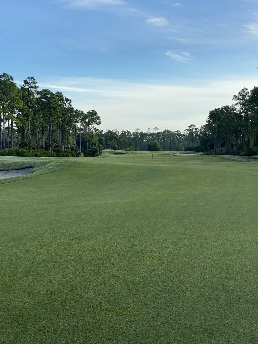 CaspioTurf's tweet photo. No #NCAA season? We’ll do it ourselves.  Final day of Florida Collegiate Invitational at #oldcorkscrew. 7403yds today with greens at 11’.  Bring it. https://t.co/W5kxAvHe1W