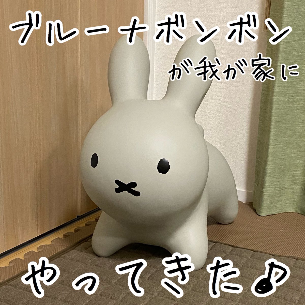 しおり 沖縄で注文住宅建てました 遅いですよー Amazonもアスクルも1週間くらいかかります