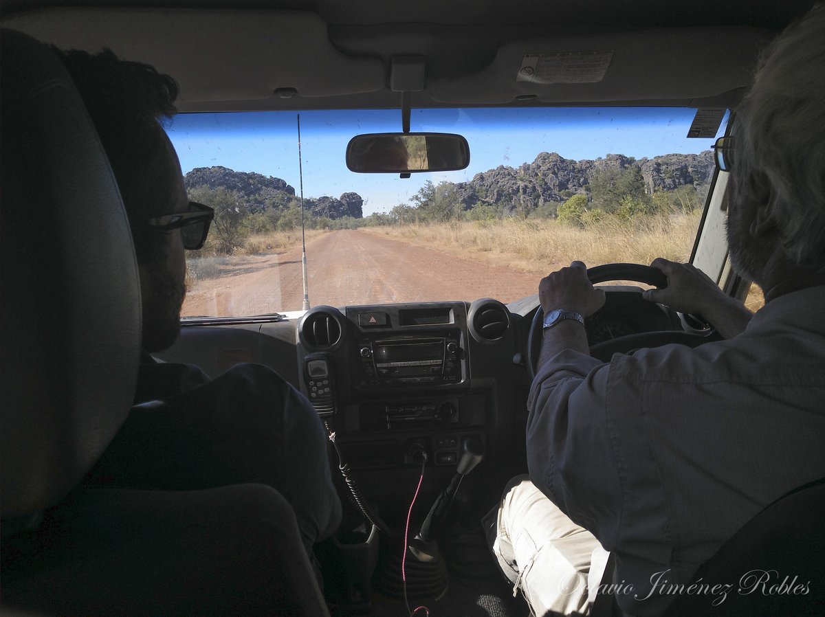 OJimenez_Robles's tweet photo. @certhionyx Here is my contribution to this thread about an indeed-beloved fieldwork car.
May-June 2019 Kimberley expedition of Keith Christian’s and Craig Moritz’s labs. #MoritzLab
Such good memories come to my mind! Long live the troopy! https://t.co/H76KLyzlWh