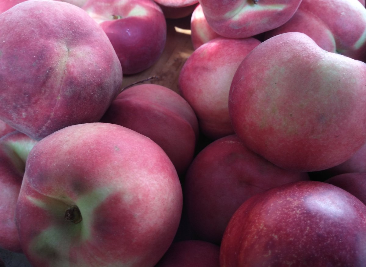 KernanFarms's tweet photo. Peak week for Peaches! Savor the light and delicate flavor of our #TreeRipened White Peaches at Wednesday's @UnSqGreenmarket and Friday at #UWS 97th St. https://t.co/rouh8kfCCg