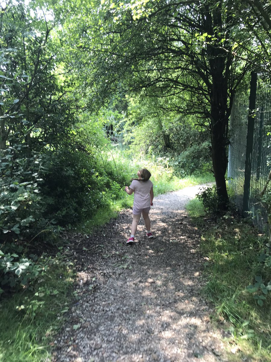 Becky95921664's tweet photo. Jessica has completed another 1.5 miles - itโs too hot to go any further! ๐ โ๏ธ #virtualmile @SHINEatCPA https://t.co/kMTlEwz9DR