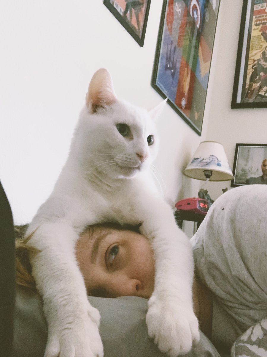 MissBMarie's tweet photo. #WinKittySpring @KittySpring4Cat
This is fine. https://t.co/YUNU0h01ZL