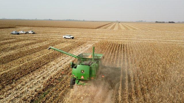 Cosecha de ensayo de híbridos de maíz 🌽 y franjas de NxD ! Realizado por <a href="/CotagroAR/">Cotagro</a> junto con <a href="/ACAcoop/">ACA</a> y <a href="/cerealesunrc/">Cereales UNRC</a> !