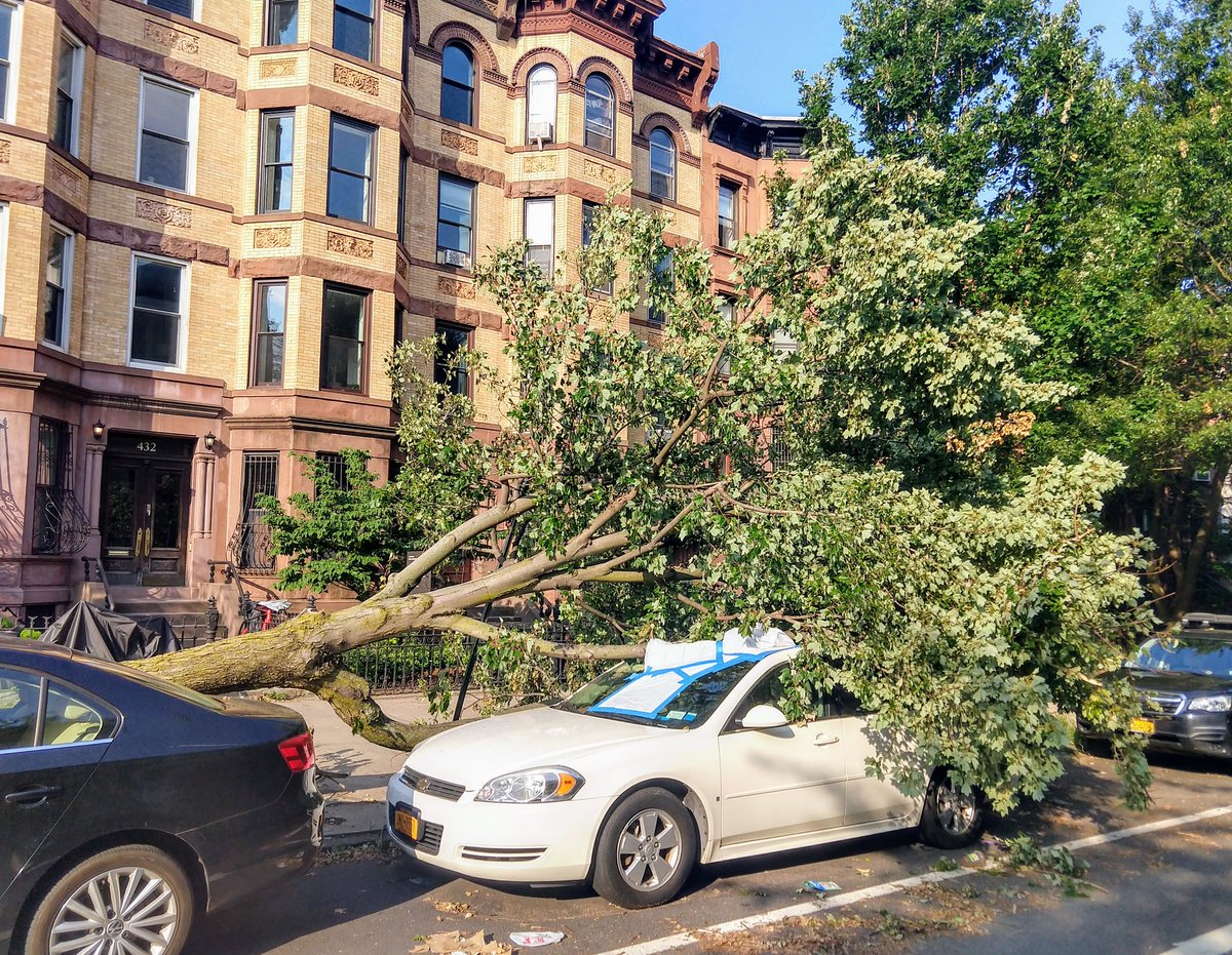 The grass is always greener on the other side. But the trees... 🙃 [not my car!]