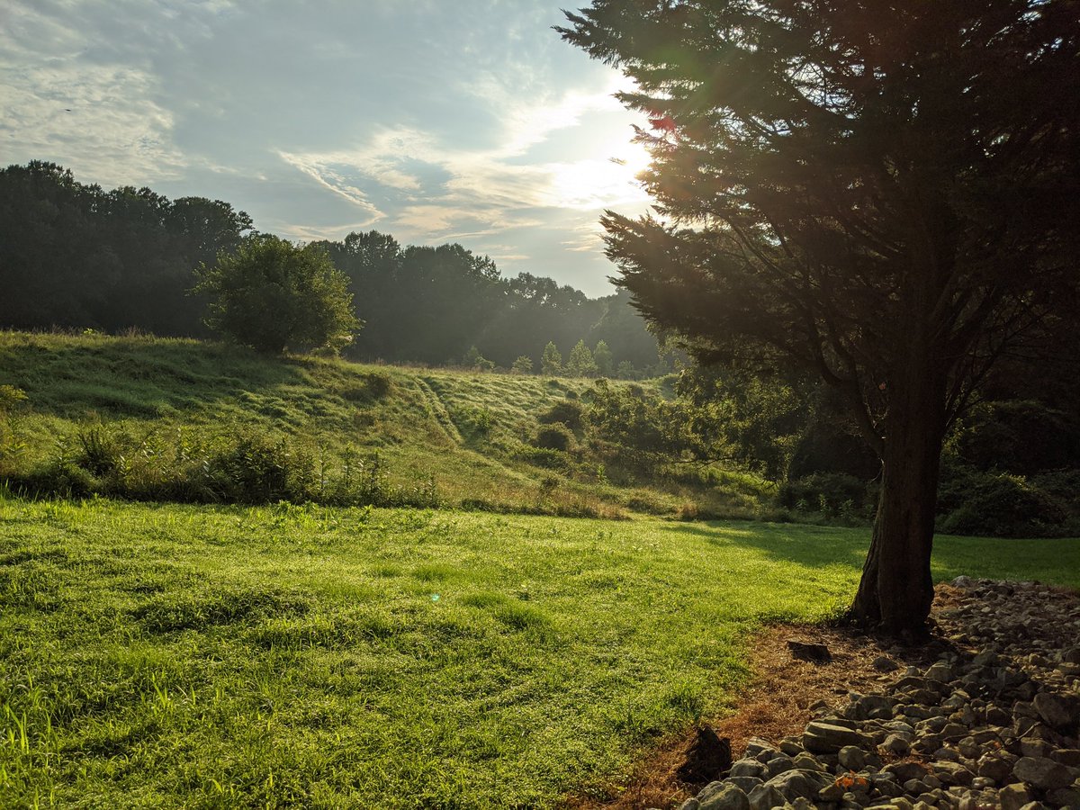 beth_igloo's tweet photo. Morning run through the Shire... https://t.co/K8MdLi6Nr1