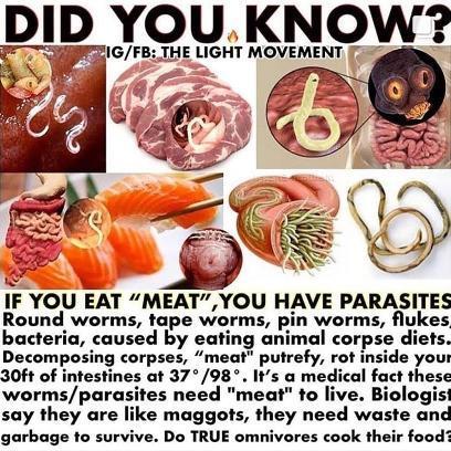 JasonFamilyMan1's tweet photo. @centerepublican @palepinkliquid THIS SHOULD HELP YOU.
EVERYONE THAT EATS ANIMAL PRODUCTS HAS MADE THEIR BODY ACIDIC TO THE POINT WHERE THEY CAN HARPER AND HOST A PARASITE WORM INSIDE OF THEM.
DOES PARASITIC WORM IS WHERE THE DESIRE FOR ROTTING FLESH ORIGINATES.
TAKE AN ANTI-PARASITIC MEDICATION AND THEN GOVEGAN https://t.co/qVOKxU0Xly