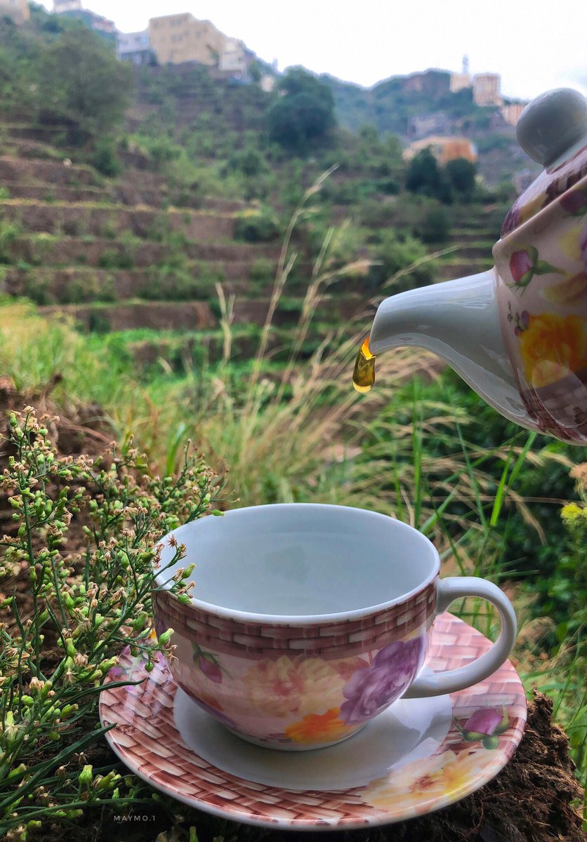 maym_1's tweet photo. - cup of tea https://t.co/kN6YUOAcZM