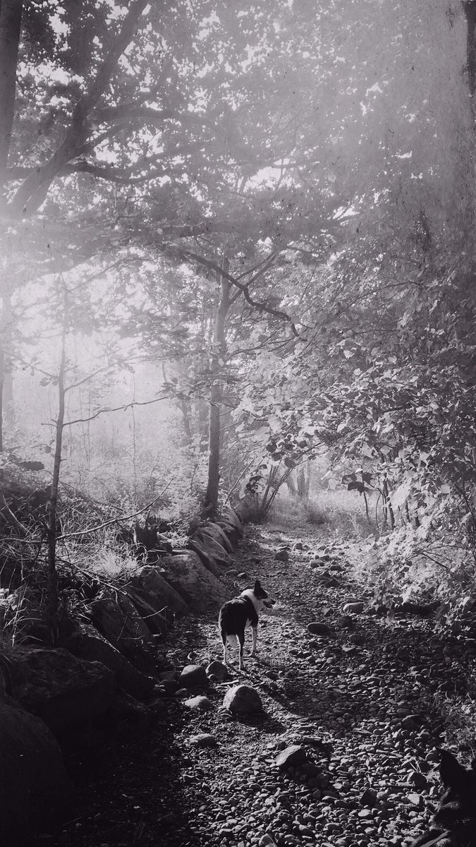 trans_runner's tweet image. 0756