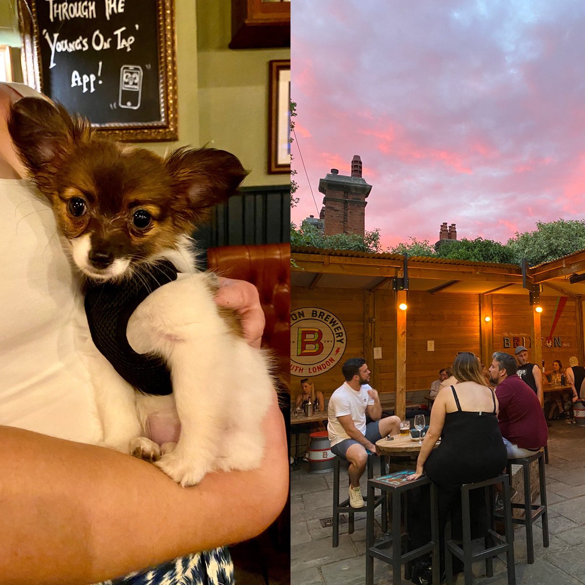 Warm days and nights, need to cool down with a gin and tonic or a cold Camden hells we’ve got you. @youngspubs @youngspubspeople @londonpubexplorer @thelondonpubmap #trinityarms #beer #gin #dog #warm