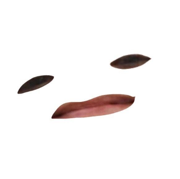 👁️