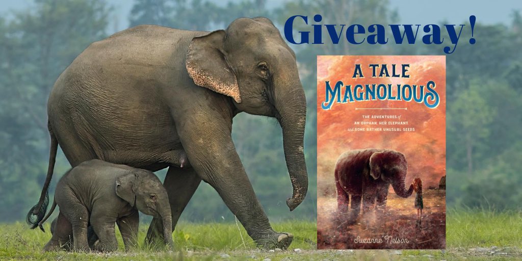 snelsonbooks's tweet photo. Book #giveaway in honor of #worldelephantday! For #educators #librarians & #homeschooling parents! Retweet & follow @snelsonbooks to enter to win a signed copy of my @KnopfBFYR #mglit #ATaleMagnolious! Winners chosen today 8/12 by 10pm! #elephants #kidlit #bookgiveaway https://t.co/Ri7VOtYXxg
