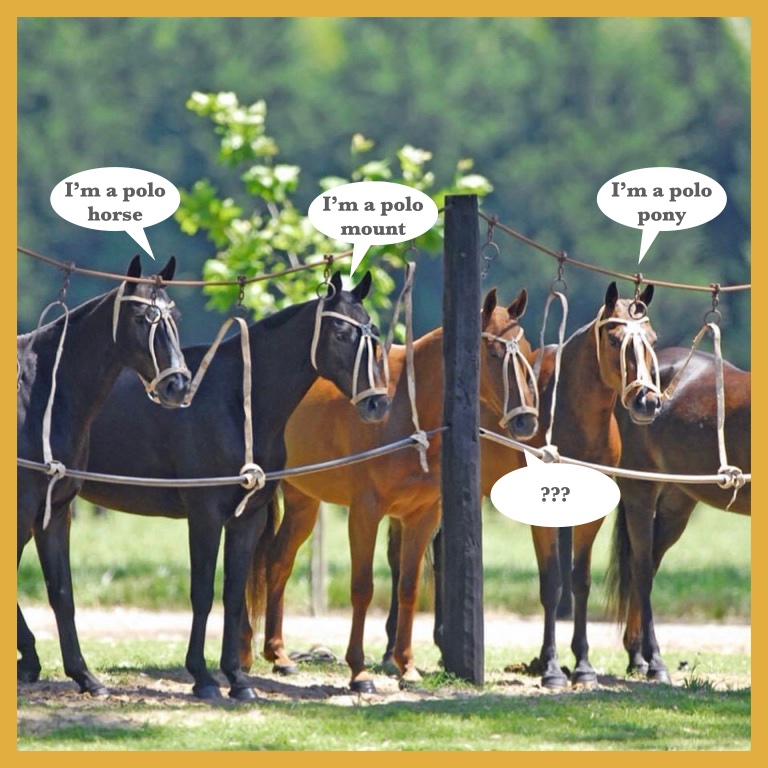 AOTranslation's tweet image. Aside of perfect translation, another factor which comes in is customer preference, which may be specific to your brand or niche. Eg: one nation refers to a Polo “Pony”, others to a Polo “Horse” whilst others call it a “Mount”. They’re all correct, but it’s a matter of preference