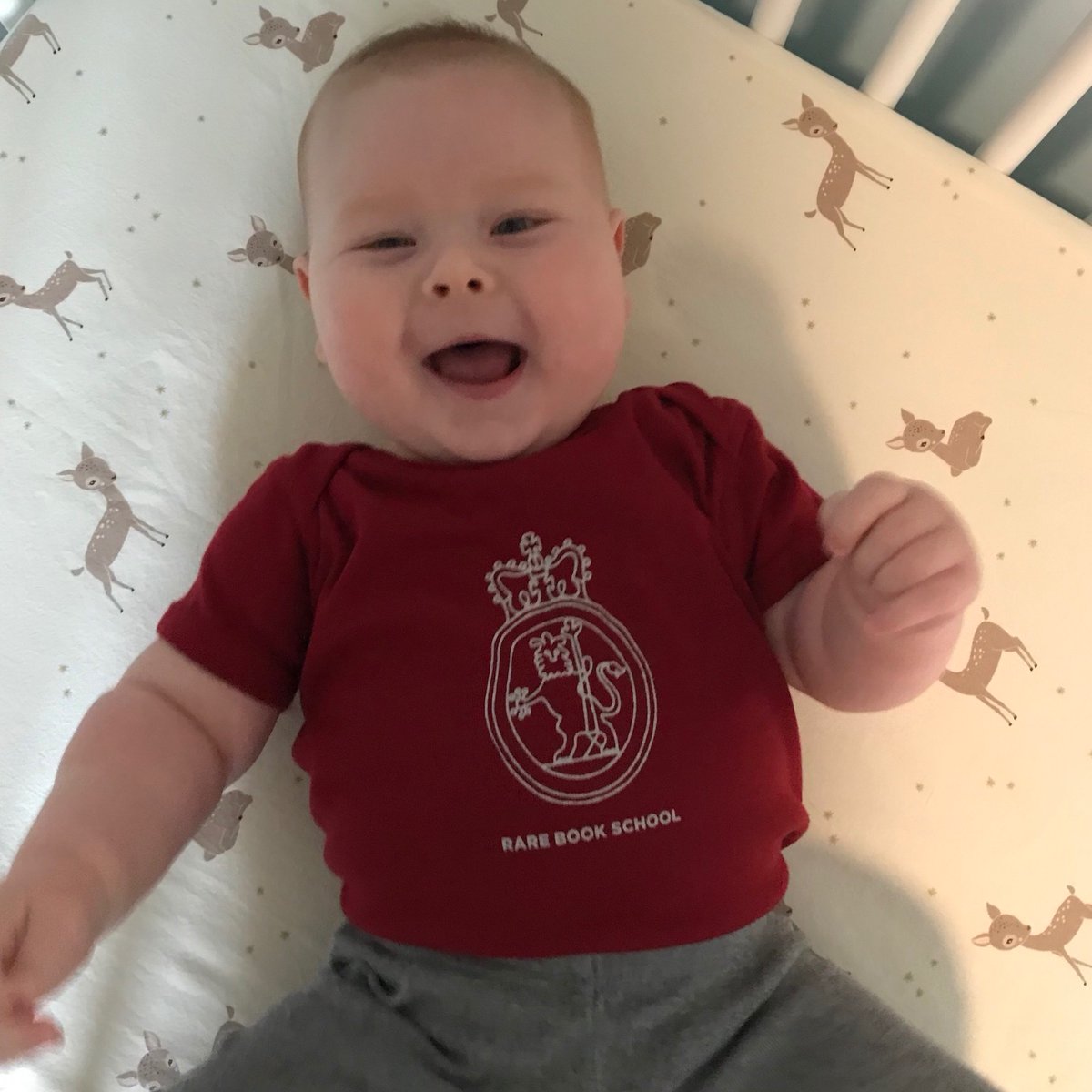 Viking_Lars7's tweet photo. My little friend, Asher, is quite the @rarebookschool fan! ❤️📕 https://t.co/ebDFkmWfOt