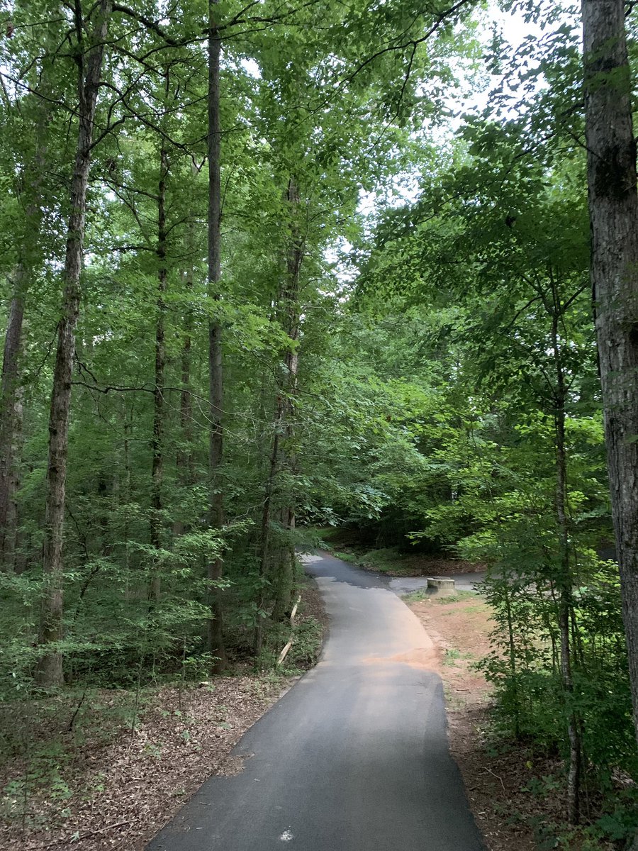 redoakcoaching's tweet photo. Midweek check: did you stop from your crazy day to observe your breaths? Give yourself space to breath! Ground yourself  and carry on, you got this! Deep breaths! ☯️💜#selfcare #selflove #selfawareness #acceptance #lifecoach #lifecoaching #atlanta #metroatlanta #onlinecoach https://t.co/INcvItvWi6