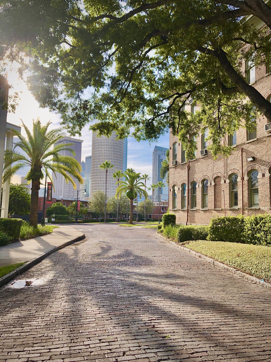The University of Tampa tweet media