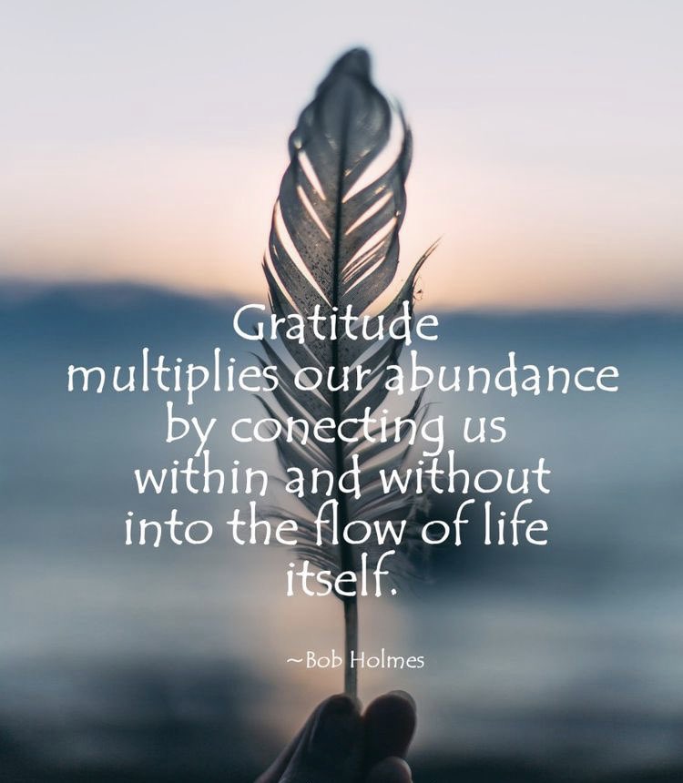 KariJoys's tweet photo. #Gratitude multiplies our #Abundance.. 

#JoyTrain #Joy #Love #IQRTG #MentalHealth #Mindfulness #GoldenHearts #IAM #Quote #Quotes #Blessed #ChooseLove #IAmChoosingLove #ThursdayMorning #ThursdayThoughts #ThursdayMotivation #ThankfulThursday https://t.co/P51Ox1u4g7