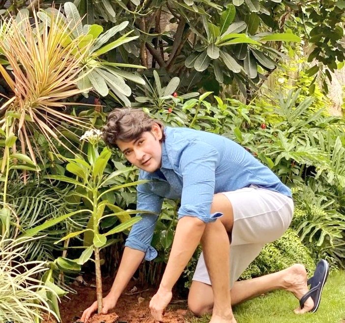 ui000009's tweet photo. @shrutihaasan @ardamayindhi @urstrulyMahesh @ThisIsDSP @iHrithik @RanaDaggubati @tamannaahspeaks #SarkaruVaariPaata https://t.co/wl8uHSVJJ0