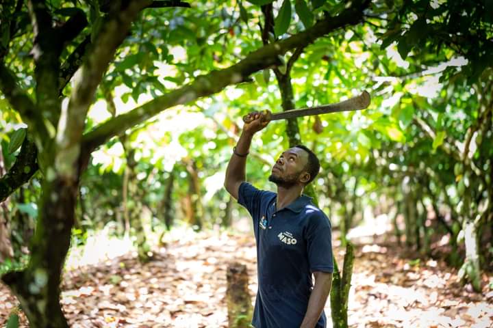 🥂Here’s to all young people as the world marks International Youth Day. Our #MASO programme is helping to transform the lives of young people across Ghana in cocoa producing regions.
<a href="/Solidaridad_wa/">Solidaridad West Africa</a> implements <a href="/masoghana/">Masoghana</a> with other partners with funding from <a href="/MastercardFdn/">Mastercard Foundation</a>