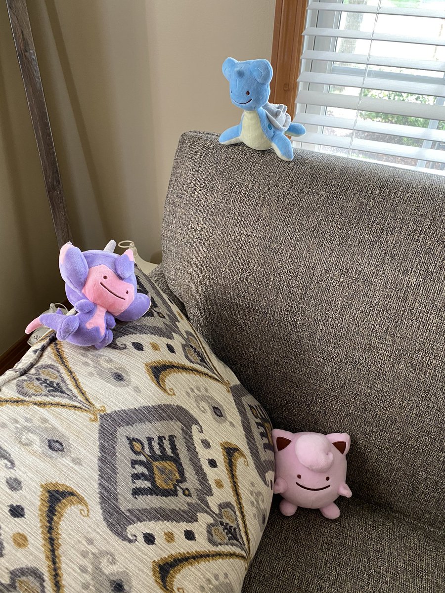 Hanging out with our new pal!