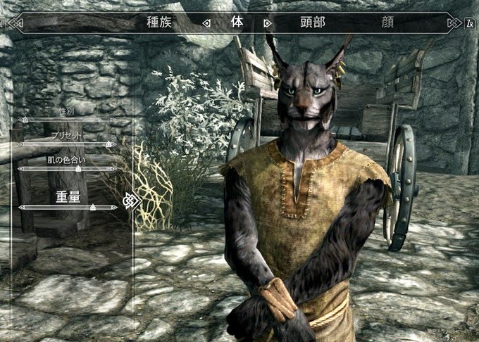 スカイリム始めた
キャラクリがんばってかわいいネコチャンにした
SFとRPGできないひと特有のやつだけど、みんなが何しゃべってんのかマジわけわかんない
わけ分かんなすぎて、記憶喪失で言葉わかんない野良ネコチャンって設定にした
皆の話ムシして盗んだ食べ物でご飯作って遊んでる 