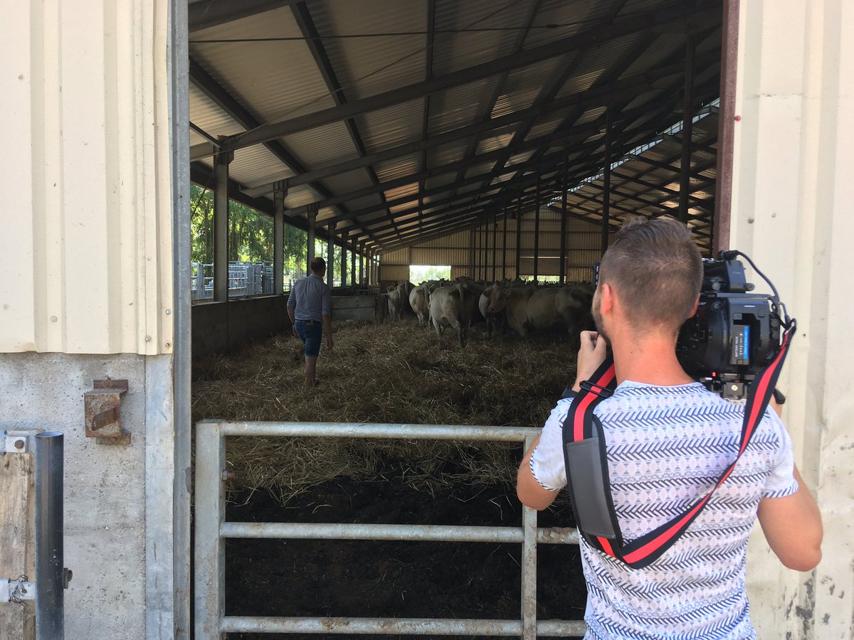 IoF2020's tweet image. We are here in Hungary with our #dairy #UseCase #MultiSensor Cow #Monitoring. After being administered, the sensors measure crucial parameters such as heat detection or #pH value. It helps farmers to monitor their animals‘ health on a daily basis in one #centralised app.