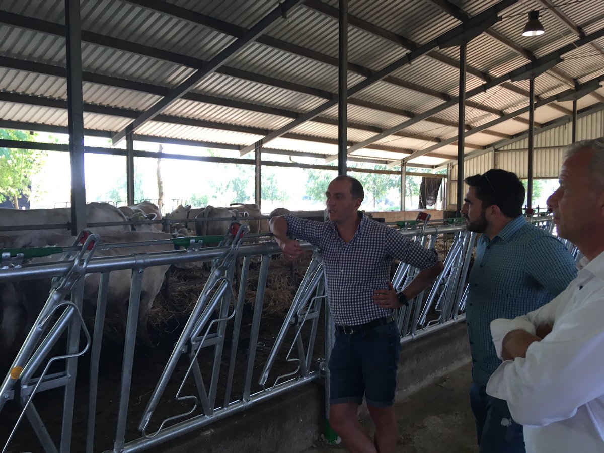 IoF2020's tweet image. We are here in Hungary with our #dairy #UseCase #MultiSensor Cow #Monitoring. After being administered, the sensors measure crucial parameters such as heat detection or #pH value. It helps farmers to monitor their animals‘ health on a daily basis in one #centralised app.