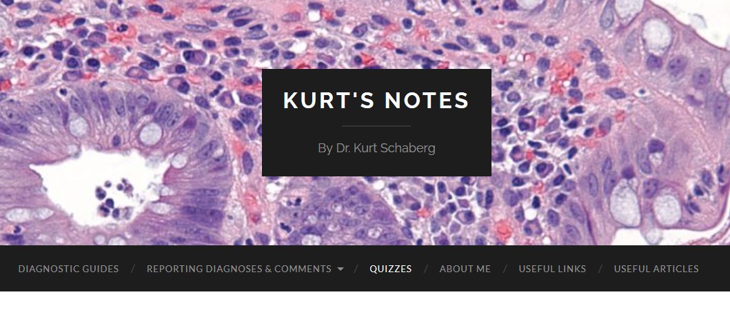 KMirza's tweet photo. Hey #PathTwitter - if you haven't checked out #KurtsNotes (https://t.co/ZXDH7zCRQe) by the amazing @KurtSchaberg you are missing out! A fantastic resource for any pathologist and trainee! Notes, quizzes, reviews - everything is there. The wonderful @pathpresenter is used too! https://t.co/7DN0cnSkwx