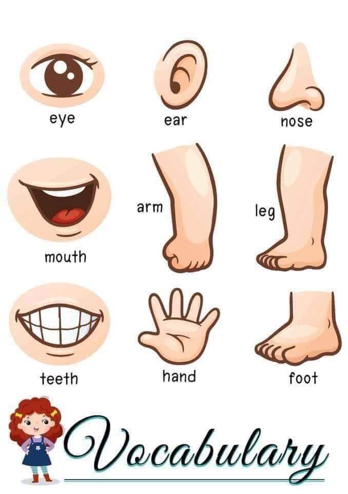 LQTNS's tweet photo. Vocabulary. https://t.co/J0fqk14cIk