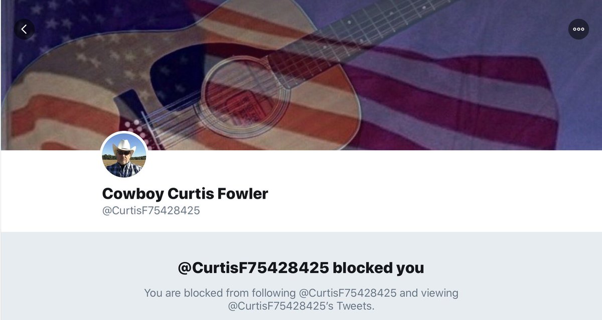 Nancsue's tweet photo. Just for the record, I am still so very upset & hurt that this user stole my personal photo of MY Yamaha 12-string guitar with American flag pic I took, & he’s using it for HIS Twitter picture, then HE blocked ME. #ARTTHEFT #photography https://t.co/iQffpxguOy