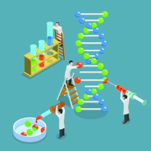 dPCR_GenePi's tweet image. Gene-Pi.com offers comprehensive tutorials on specific #DigitalPCR assays. Read the detailed and handy tutorials about detecting nucleic acids using digital PCR here: lnkd.in/dgXyGSq

#tutorials #learn #dPCR #research