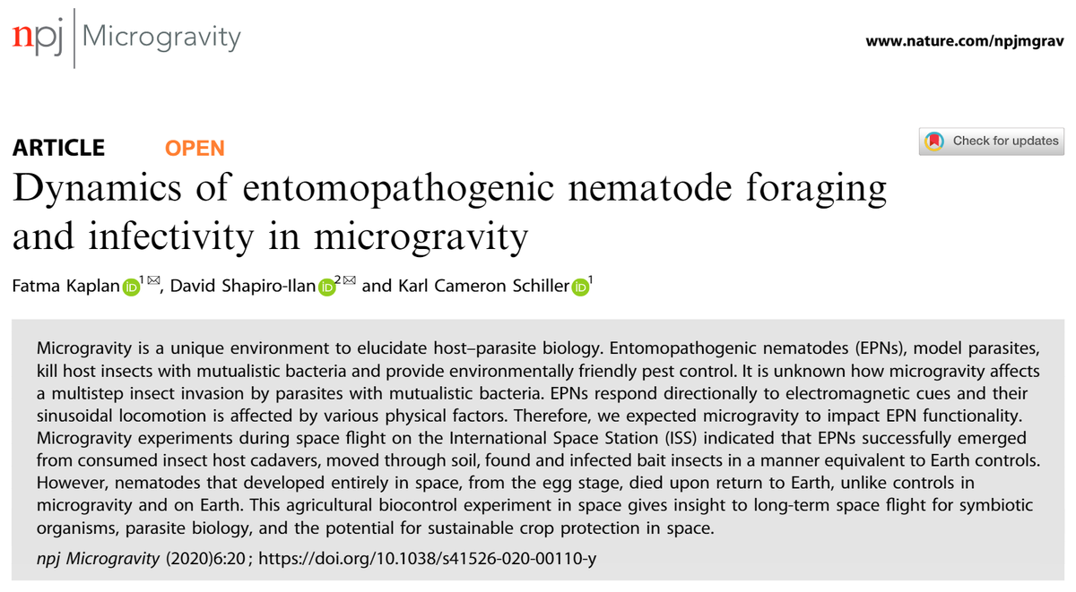 KaplanSchiller's tweet photo. Small step for #nematodes but a giant leap for #interplanetary #agriculture @SpaceFlorida @mandersonsacbiz @johncumbers @nature #pheromones  #ecofriendly #pestcontrol #astronematode #npjmicrogravity #openaccess  @CalAgToday @RaysLegacy @UFSidMartinBio  
https://t.co/93ne7CO7DQ https://t.co/dw4uPWOcZm