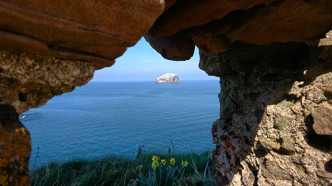 coastmag's tweet photo. Views in North Berwick, Scotland
~
Thanks @border_lass for this gorgeous snap!
~
#bassrock #northberwick #tantalloncastle #seaviews #coast #sea #bluesea #eastlothian #scotland #yourscotland #unlimitedscotland #scotlandexplore #scotshots #photography #borderlass https://t.co/Jyo4jMzUDS