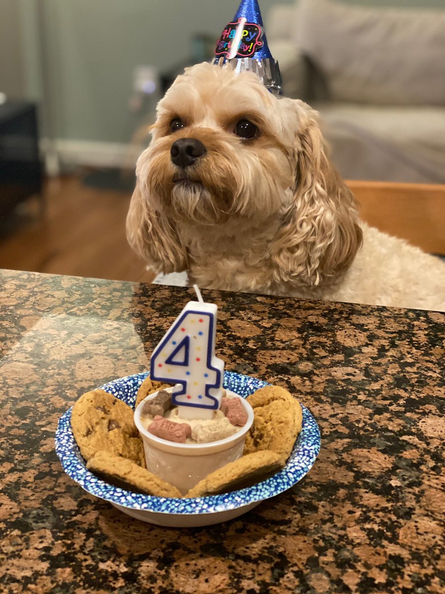 Happy 4th birthday to my little buddy!