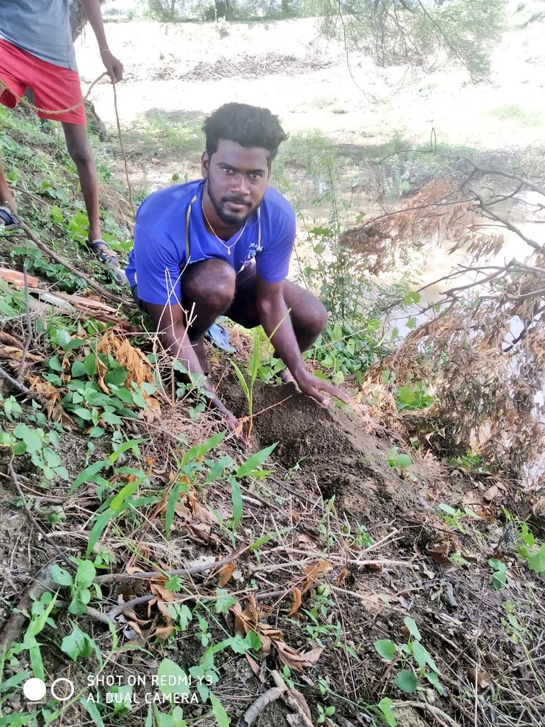 prasann08316291's tweet photo. எல்லாம் புகழும் இறைவனுக்கே 🍃 📿💟green ever planted 80 tree saplings #Dayblessings #iceapple #nativenature https://t.co/uVLpfsWUTQ