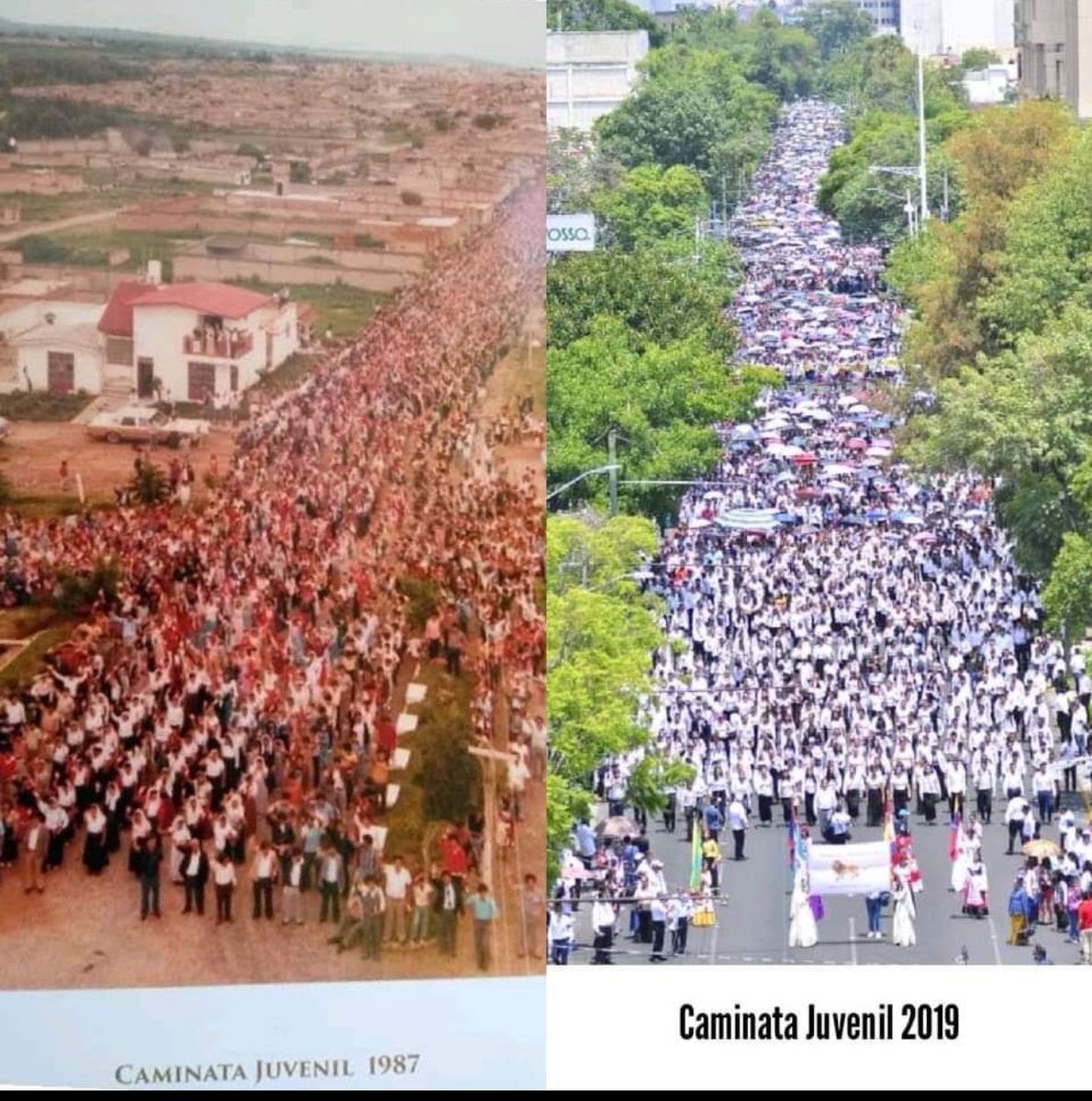 LikeFirelight's tweet photo. Seguimos siendo el mismo pueblo, igual de fuerte! Igual de valiente! 

Porque conocemos un solo sentido: ¡Adelante!
 #CaminataVirtualLLDM
#HEMEAQUI
#WeAreLight https://t.co/rCyOMW5ZI0