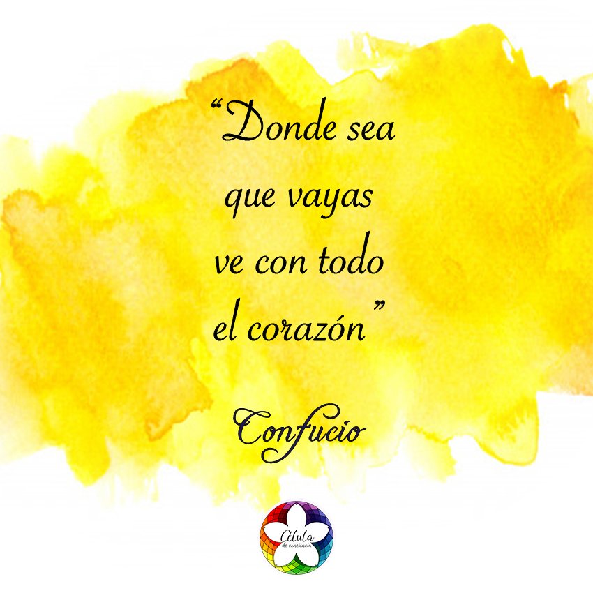 CELULADECONCIE1's tweet photo. Miércoles grandioso!!! 💯💯💯 #celuladeconciencia #paz #frases #energia #pensamientos #meditacion #budismo #yoga #zen #sufismo #espiritualidad #conciencia #China #frasesespirituales #mente #emocion #salud #vibracion #alfinaldeldia #aliniciareeldia #confucio #veconelcorazon https://t.co/BXOQtOXTyc