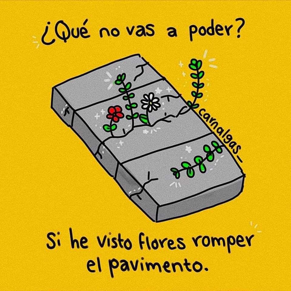 PetiteTau's tweet photo. No deja de ser bello un #lugarcomun. https://t.co/n4pqJetzwj