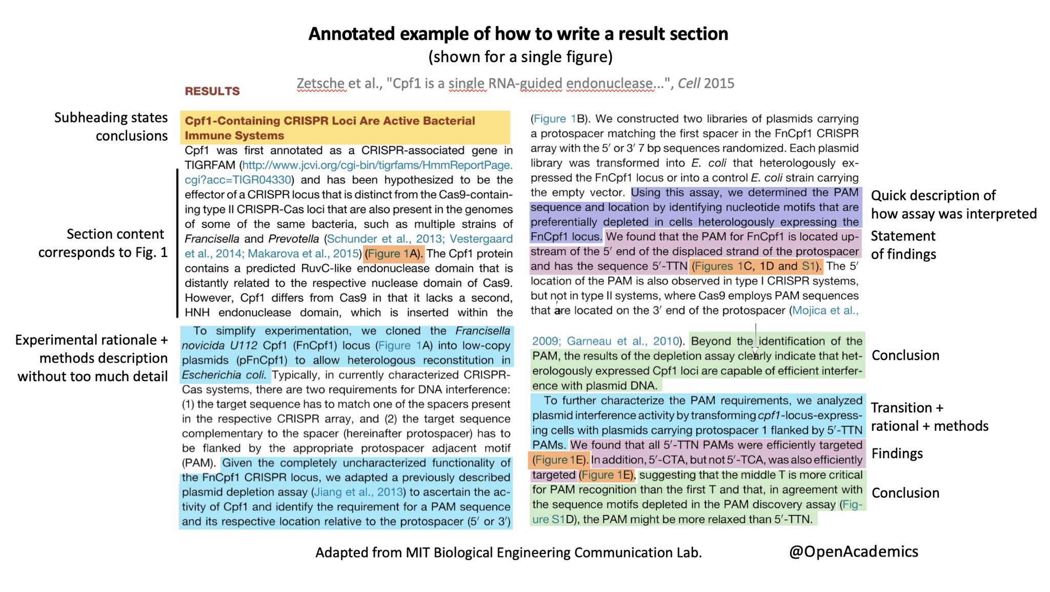 OpenAcademics on Twitter: "Writing a paper: Annotated examples of