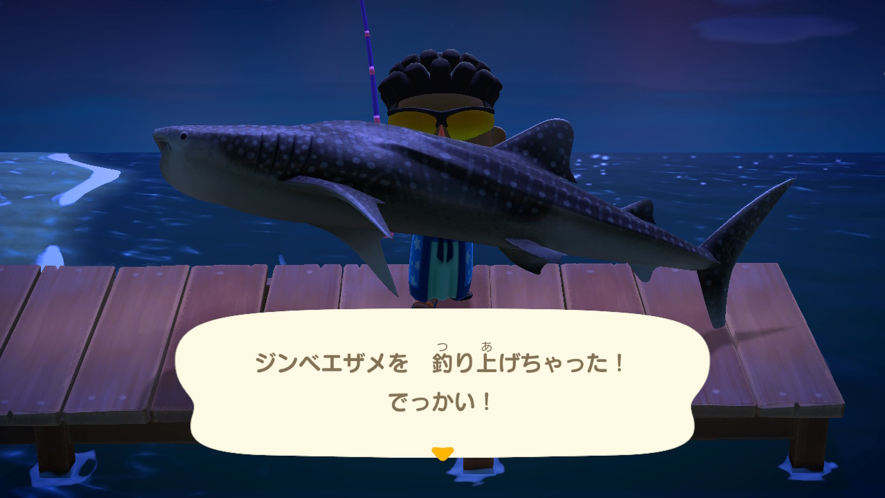 Z っu V Twitter やべえ サメ3種釣り上げちゃった 先日遊びに来た友達もサメ釣りまくってたから うちの島ってサメ出やすいんじゃね W どうぶつの森 Animalcrossing Acnh Nintendoswitch