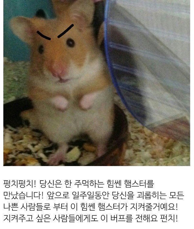 weareinsane__'s tweet photo. 원본 https://t.co/O3vqni5W08