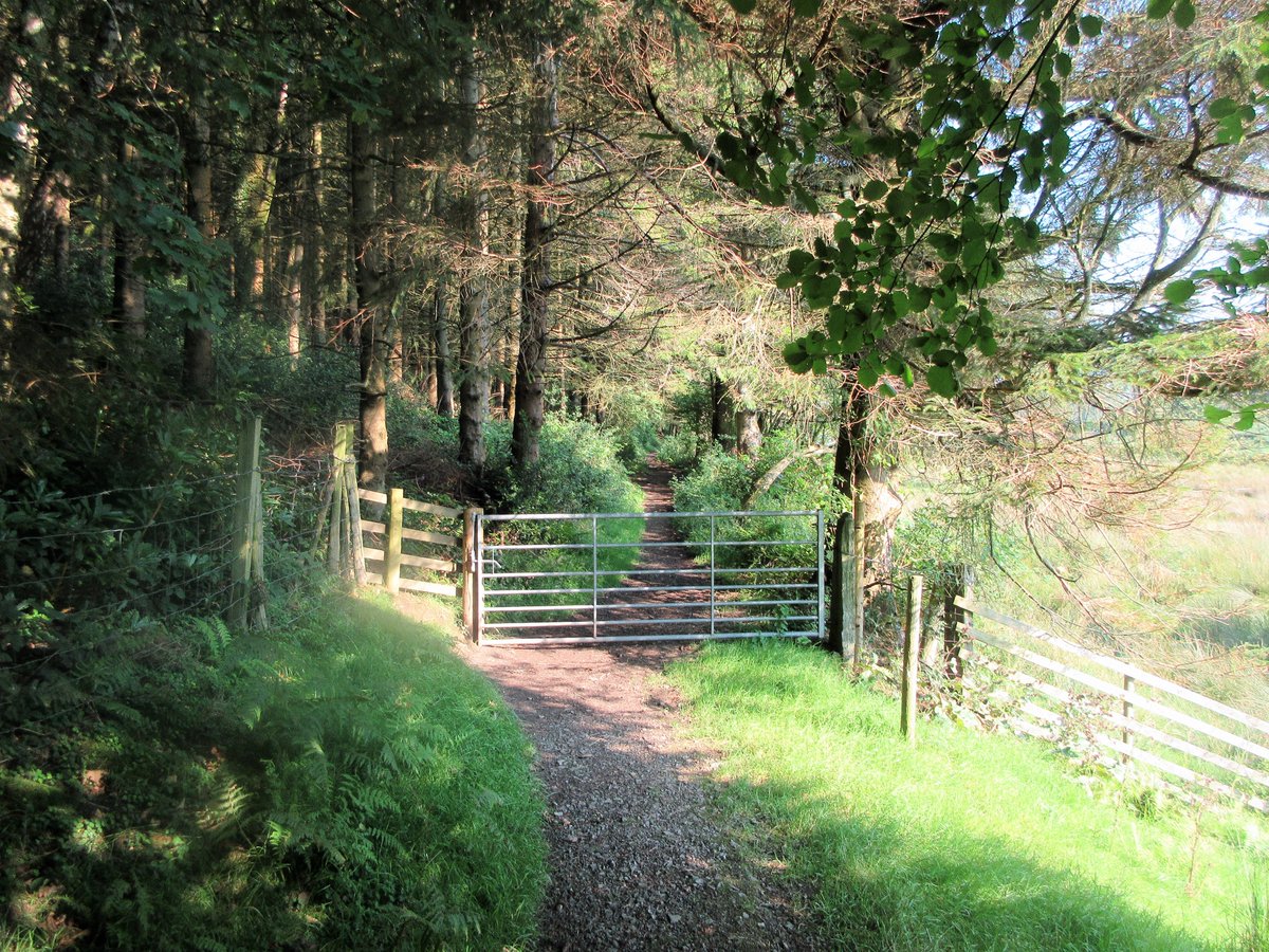 StanLeigh18's tweet photo. #BraithwaiteWoods - an ideal walk by @viviennecrow2 on a day like today
- #ColedaleBeck - cool water flowing by
- Trees providing shelter from the sun between #Braithwaite & #Thornthwaite
- Outstanding colour in a #Thornthwaite garden
- locally sourced furniture for lunch👍 https://t.co/a2ofLR0fhK