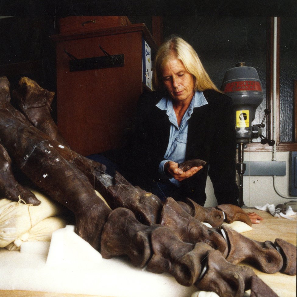  #OTD 30 years ago, Sue Hendrickson discovered the most complete Tyrannosaurus rex unearthed to date.  Here are some highlights from  @SUEtheTrex's three decades above ground.  Tag us in your favorite memories of this fierce fossil.   #Happy30SUE