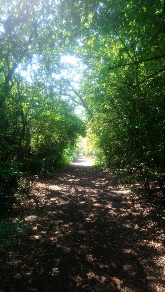 WorldCupDoubles's tweet photo. Despite the expected & depressing #recession news, endured a sweltering yet satisfying 6.5m hike around #GalleyCommon Camp Hill, Barpool & #Stockingford earlier. Drenched in sweat now but needs must to get rid of the dreaded #lockdown podge! #mentalhealth #mentalhealthmatters https://t.co/gSWsn5ODv2