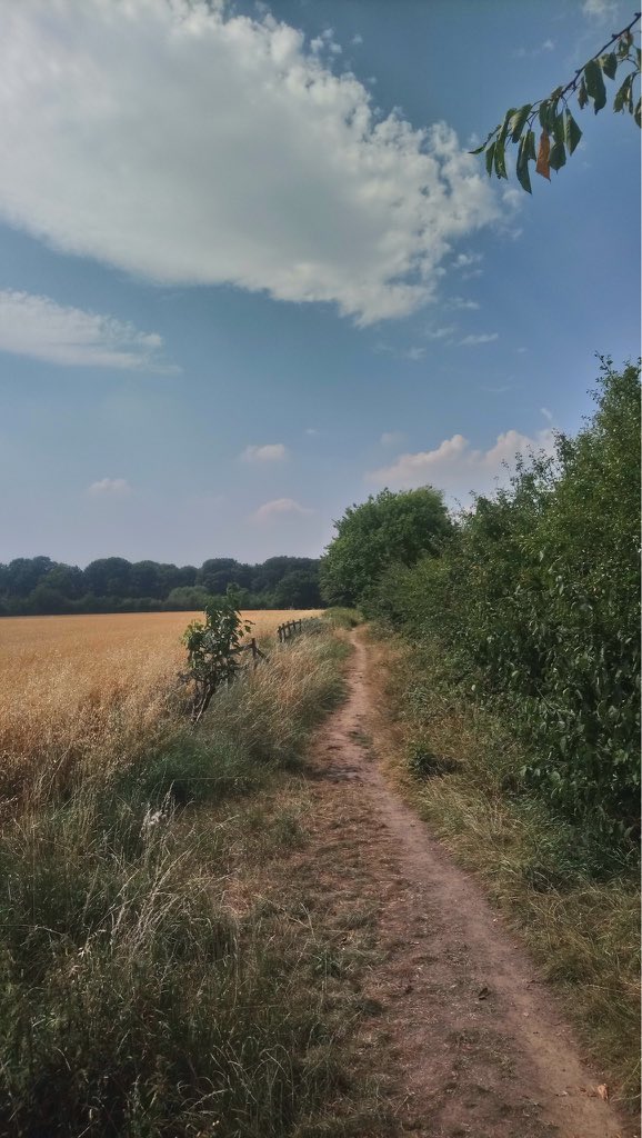 WorldCupDoubles's tweet photo. Despite the expected & depressing #recession news, endured a sweltering yet satisfying 6.5m hike around #GalleyCommon Camp Hill, Barpool & #Stockingford earlier. Drenched in sweat now but needs must to get rid of the dreaded #lockdown podge! #mentalhealth #mentalhealthmatters https://t.co/gSWsn5ODv2