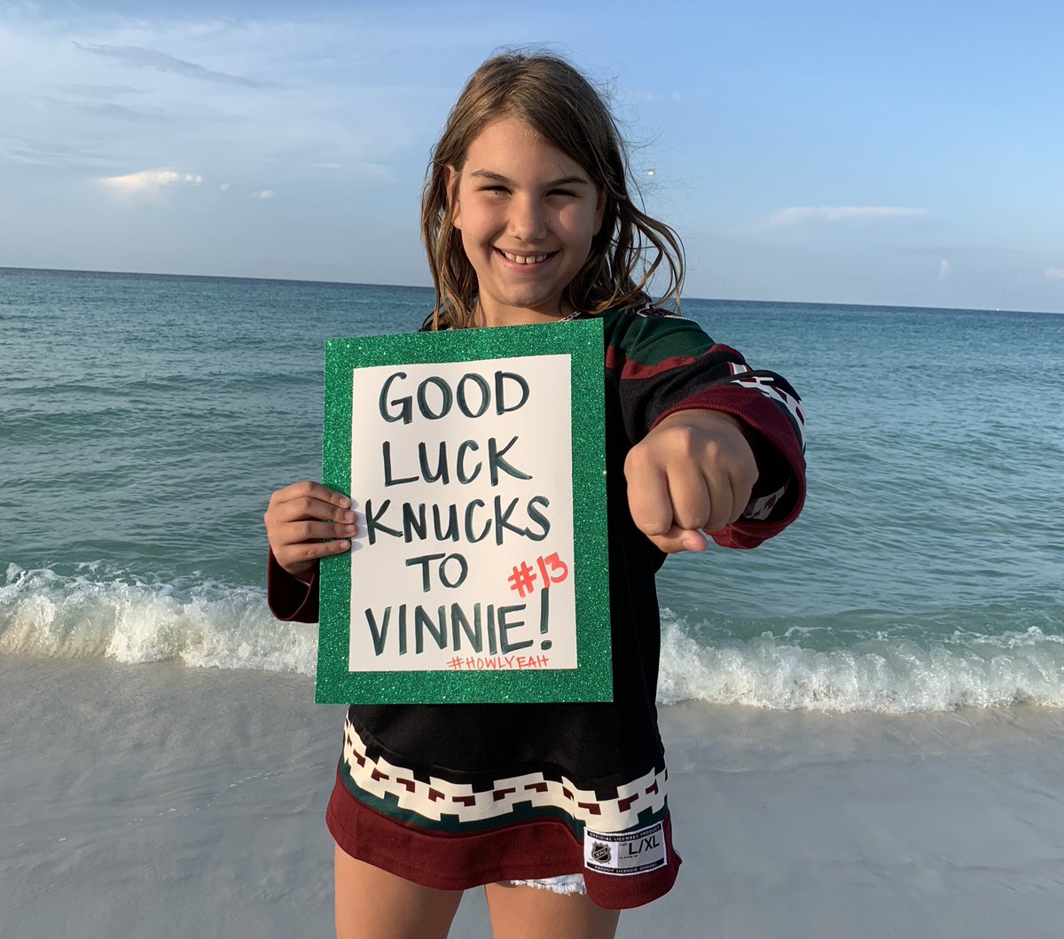 <a href="/ArizonaCoyotes/">Arizona Coyotes</a> <a href="/NHL/">NHL</a> Boom, <a href="/Hinostroza12/">Vinnie Hinostroza</a> 🤜🏼🤛🏼

#HowlYeah #NHLWarmups