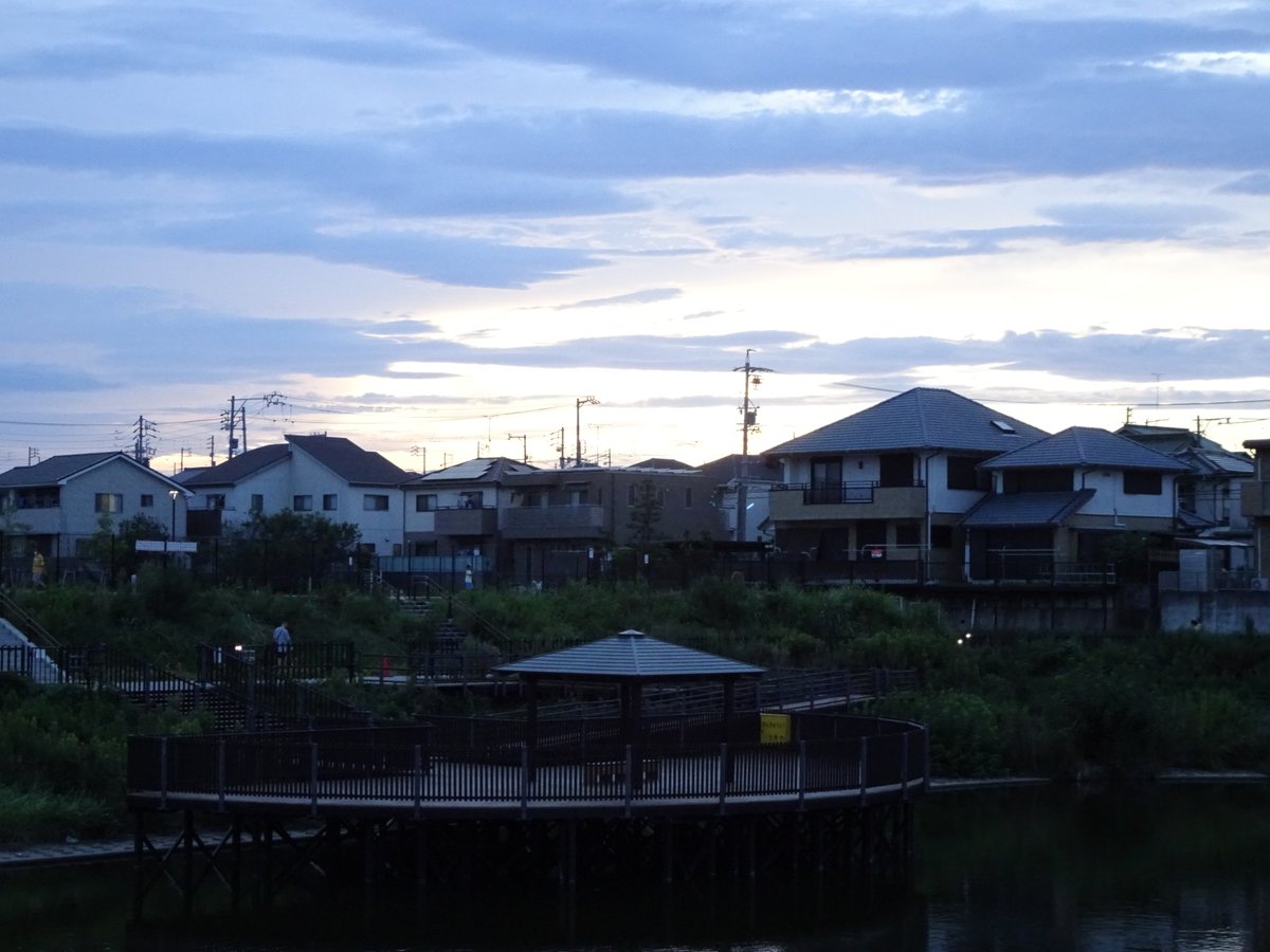 Ruby Emmeline 今日の最高気温 全国観測値ランキング 5位 愛知県大府市 37 8 14 01 ということで薄暗くなってからウォーキング 池の上をコウモリが結構飛んでいるな 大府市