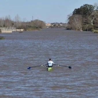 migangnoguera's tweet photo. Le llevará AÑOS recuperar el estado físico que requiere su deporte  y su nivel. Saben los sacrificios personales que debe hacer en nuestro país un deportista de élite?
El esfuerzo? la constancia? toda su vida dedicada a su objetivo! Fútbol si, remo no?
Banco mucho a @suarezrow https://t.co/GbhZjubmHs
